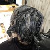 カラーとパーマの同日施術は微アルカリカラーでダメージケア