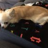 俺のKAT-TUNバスタオルが、、、