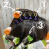 頭の形が四角!?頭頂部のボリュームで華やかさが増す!!